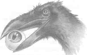 Nanny Ogg's Cookbook-21.jpg